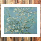 Branches in Bloom  20x16 inch FRAMED CANVAS PRINT