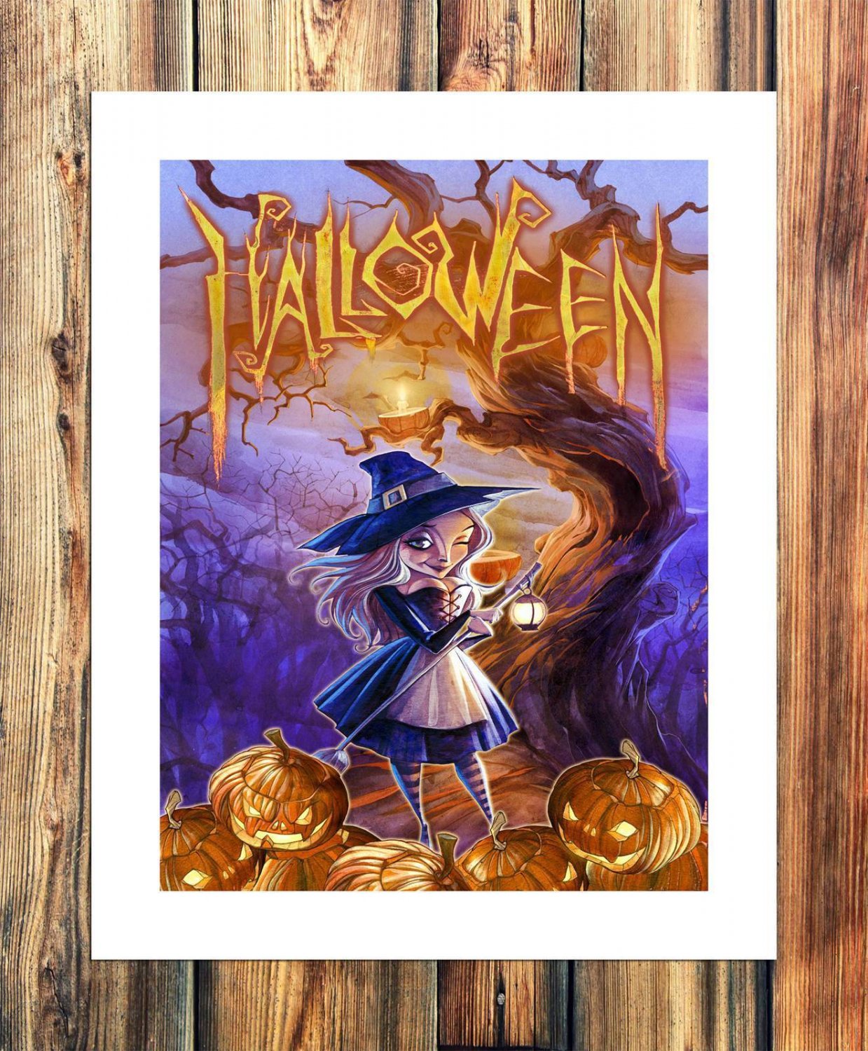 Pretty elf  20x16 inch FRAMED CANVAS PRINT