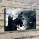 Game Throne White Walker  20x16 inch FRAMED CANVAS PRINT