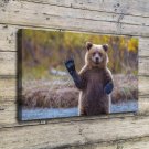 The bear's Be nice  20x16 inch FRAMED CANVAS PRINT