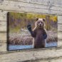 The bear's Be nice  20x16 inch FRAMED CANVAS PRINT