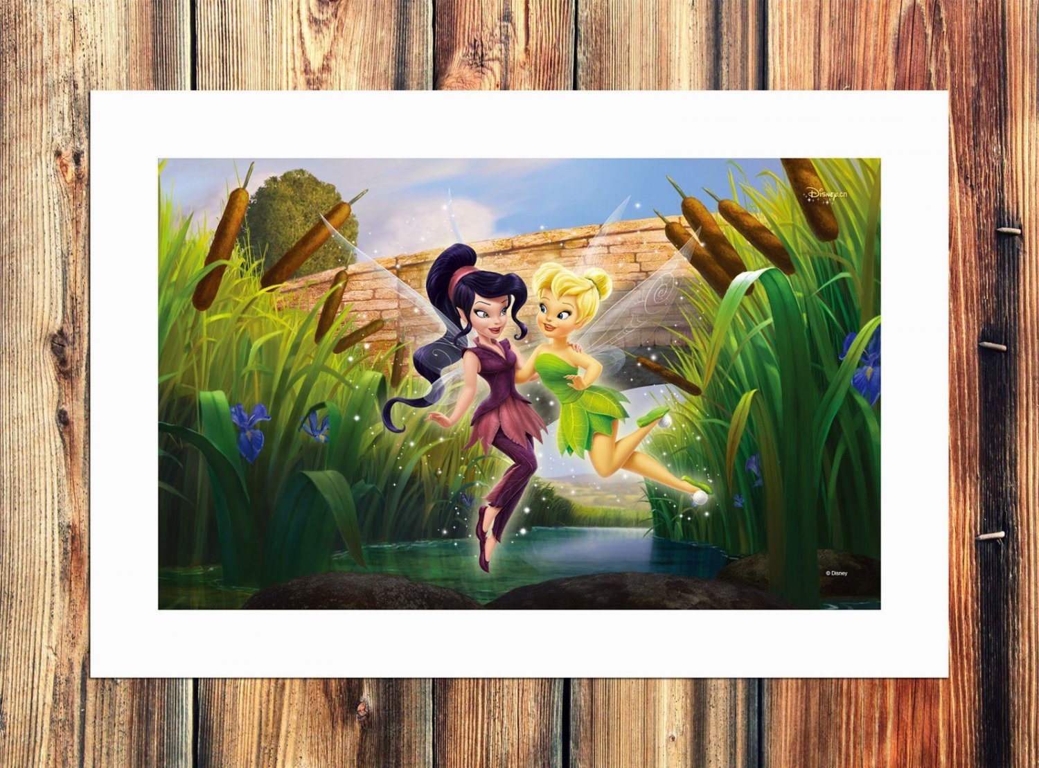 Vidia and Tinker  20x16 inch FRAMED CANVAS PRINT