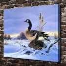 True Companions Goose  20x16 inch FRAMED CANVAS PRINT