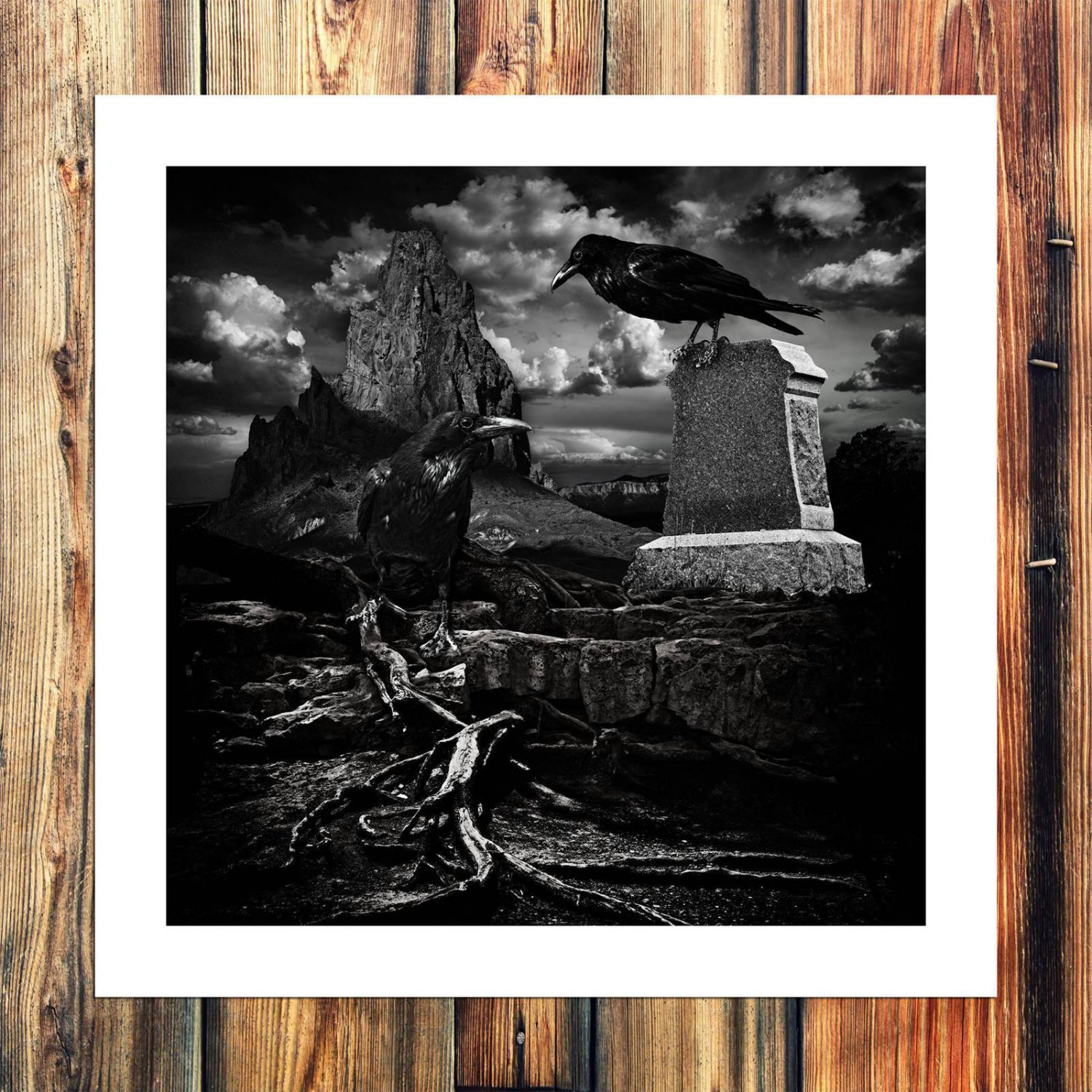 Birds space  20x16 inch FRAMED CANVAS PRINT