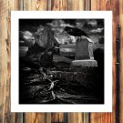 Birds space  20x16 inch FRAMED CANVAS PRINT