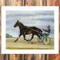 Horse races 20x16 inch FRAMED CANVAS PRINT