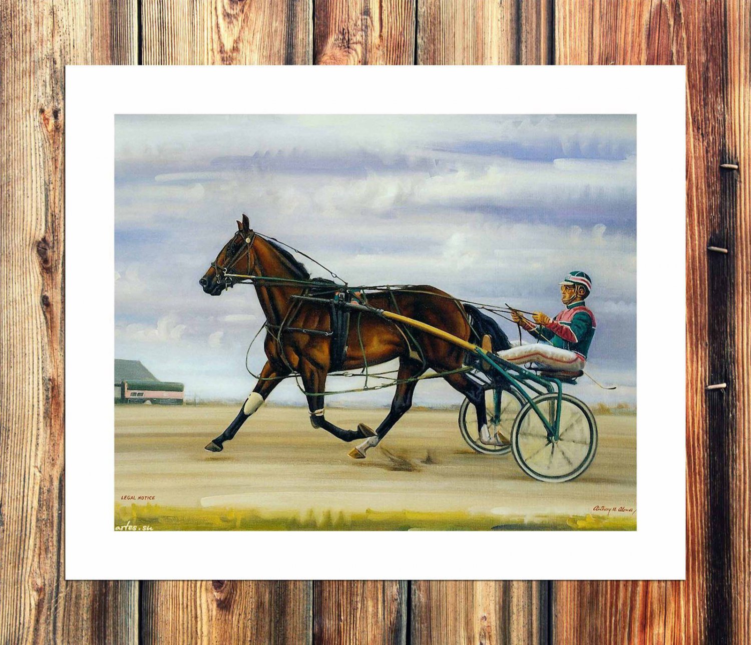 Horse races  20x16 inch FRAMED CANVAS PRINT