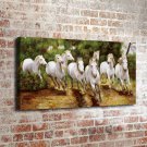 35-Animal Horse Landscape  20x16 inch FRAMED CANVAS PRINT