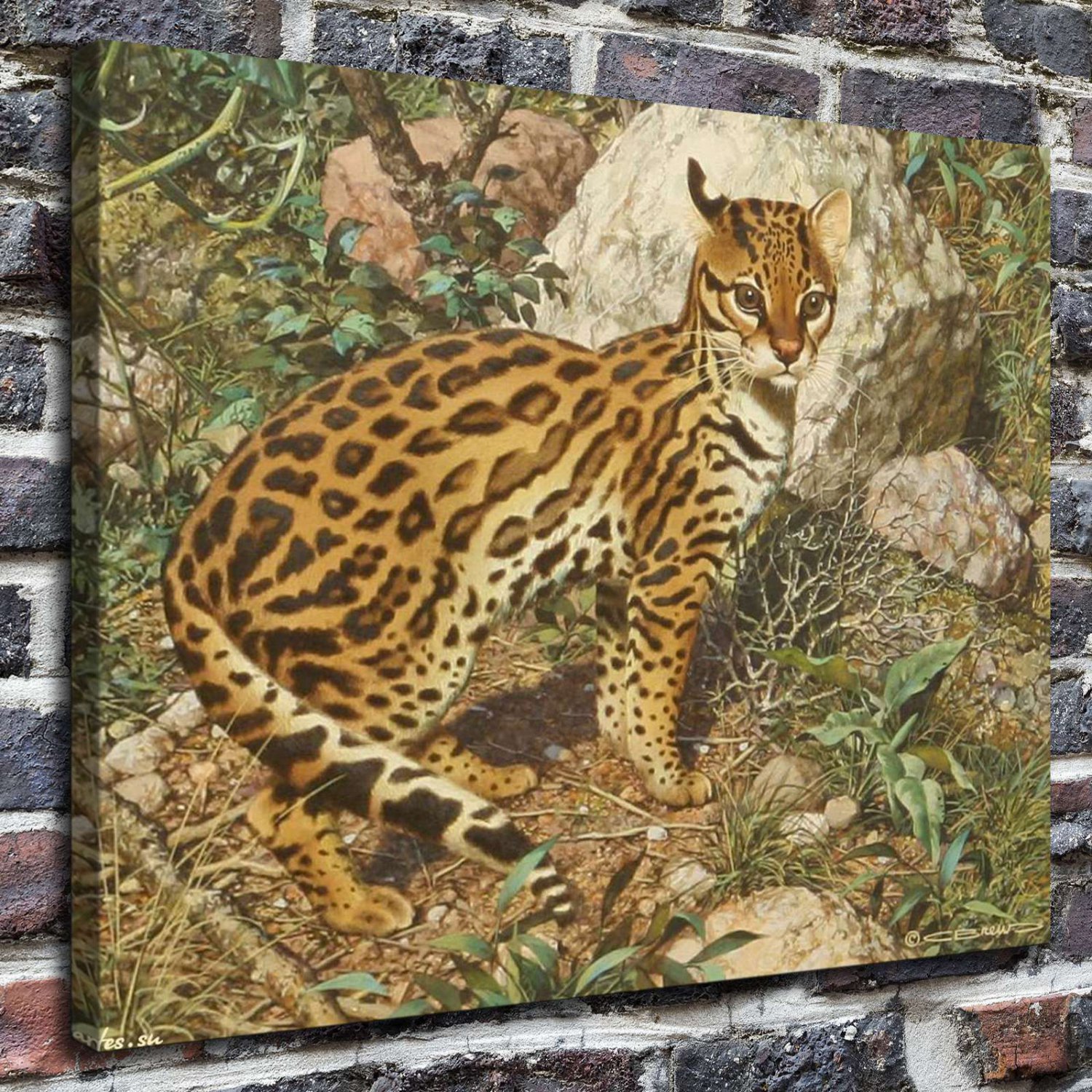 Carl Brenders leopard  20x16 inch FRAMED CANVAS PRINT