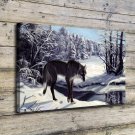 Wolf in winter  20x16 inch FRAMED CANVAS PRINT