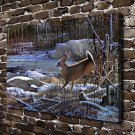 Beaver Creek Baron Deer  20x16 inch FRAMED CANVAS PRINT