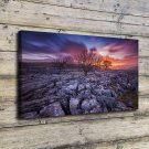 Rocks Tree Sunset Clouds  20x16 inch FRAMED CANVAS PRINT