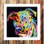 C oon luck thing  20x16 inch FRAMED CANVAS PRINT
