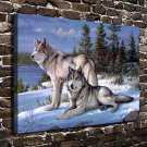 Watchful Pause Wolf Animal Painting  20x16 inch FRAMED CANVAS PRINT