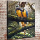 48-Animal Life  20x16 inch FRAMED CANVAS PRINT