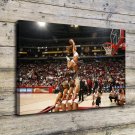 NBA rocket cheerleaders  20x16 inch FRAMED CANVAS PRINT