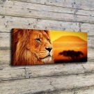 Lion Savanna Animal Painting  20x16 inch FRAMED CANVAS PRINT