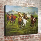 32-Animal Horse Landscape  20x16 inch FRAMED CANVAS PRINT