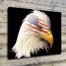 Patriot United States Decor  20x16 inch FRAMED CANVAS PRINT