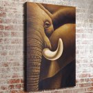 55-Animal Life  20x16 inch FRAMED CANVAS PRINT