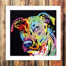 C oon luck thing  20x16 inch FRAMED CANVAS PRINT