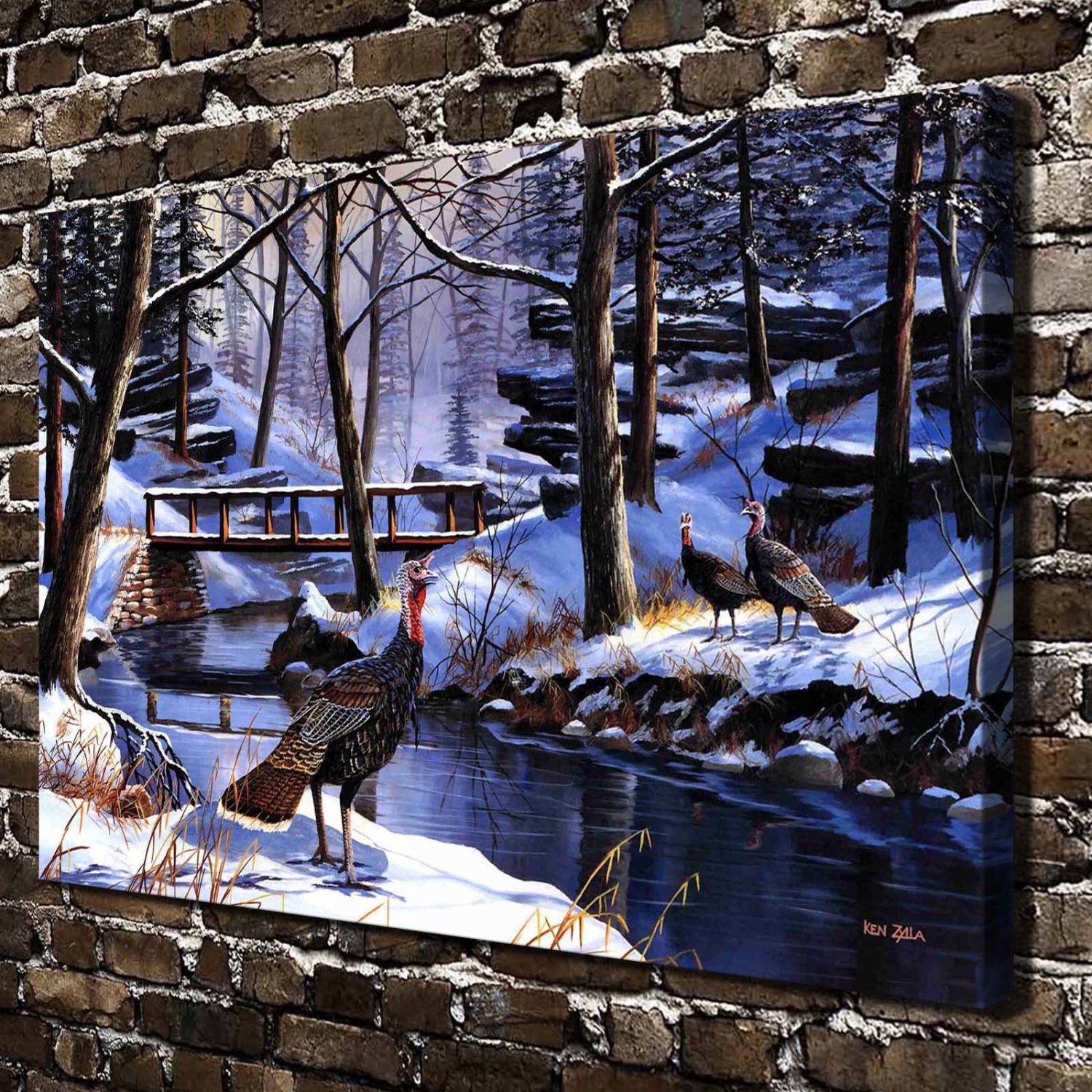 Animal Turkey  20x16 inch FRAMED CANVAS PRINT