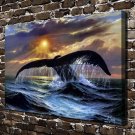 Animal Whale  20x16 inch FRAMED CANVAS PRINT