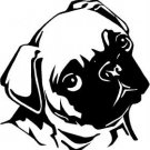 Pug - custom vinyl graphic 5x5 inch
