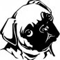Pug - custom vinyl graphic 5x5 inch
