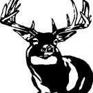 Whitetail Deer 1 - custom vinyl graphics  6x5 inch