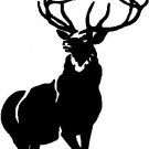 Whitetail Deer 2 - custom vinyl graphic  6x5 inch