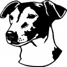 Jack Russell Terrier - custom vinyl graphic - 5x5 inch