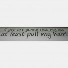 4x12 ride my a-- pull my hair custom vinyl graphics