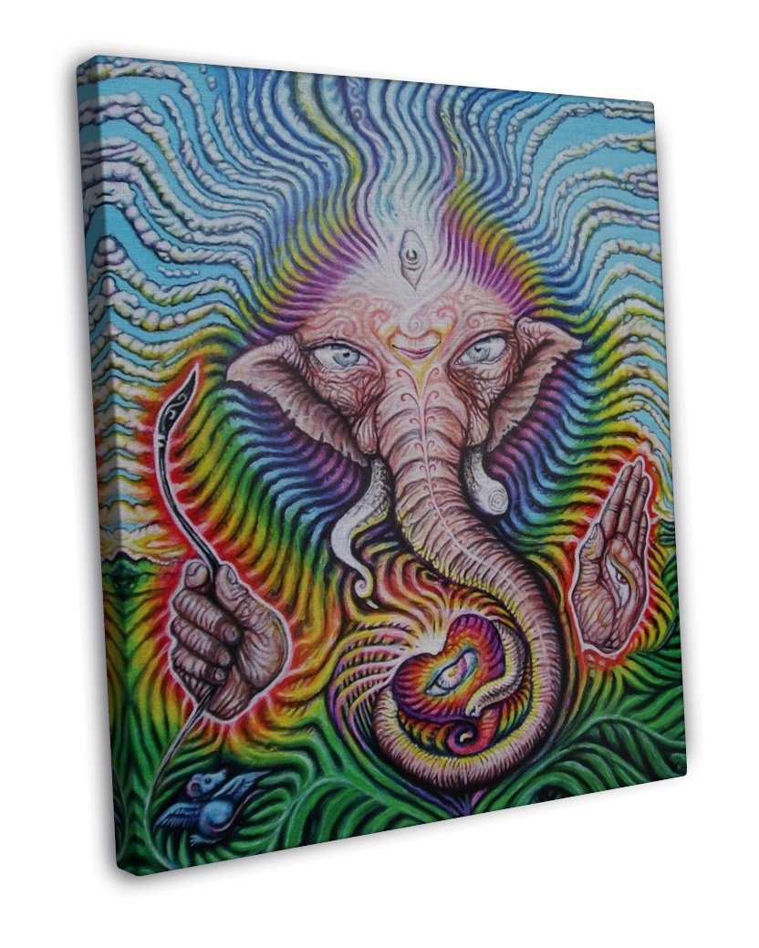 Psychedelic Trippy Art Art 20x16 Framed Canvas Print Decor 3466