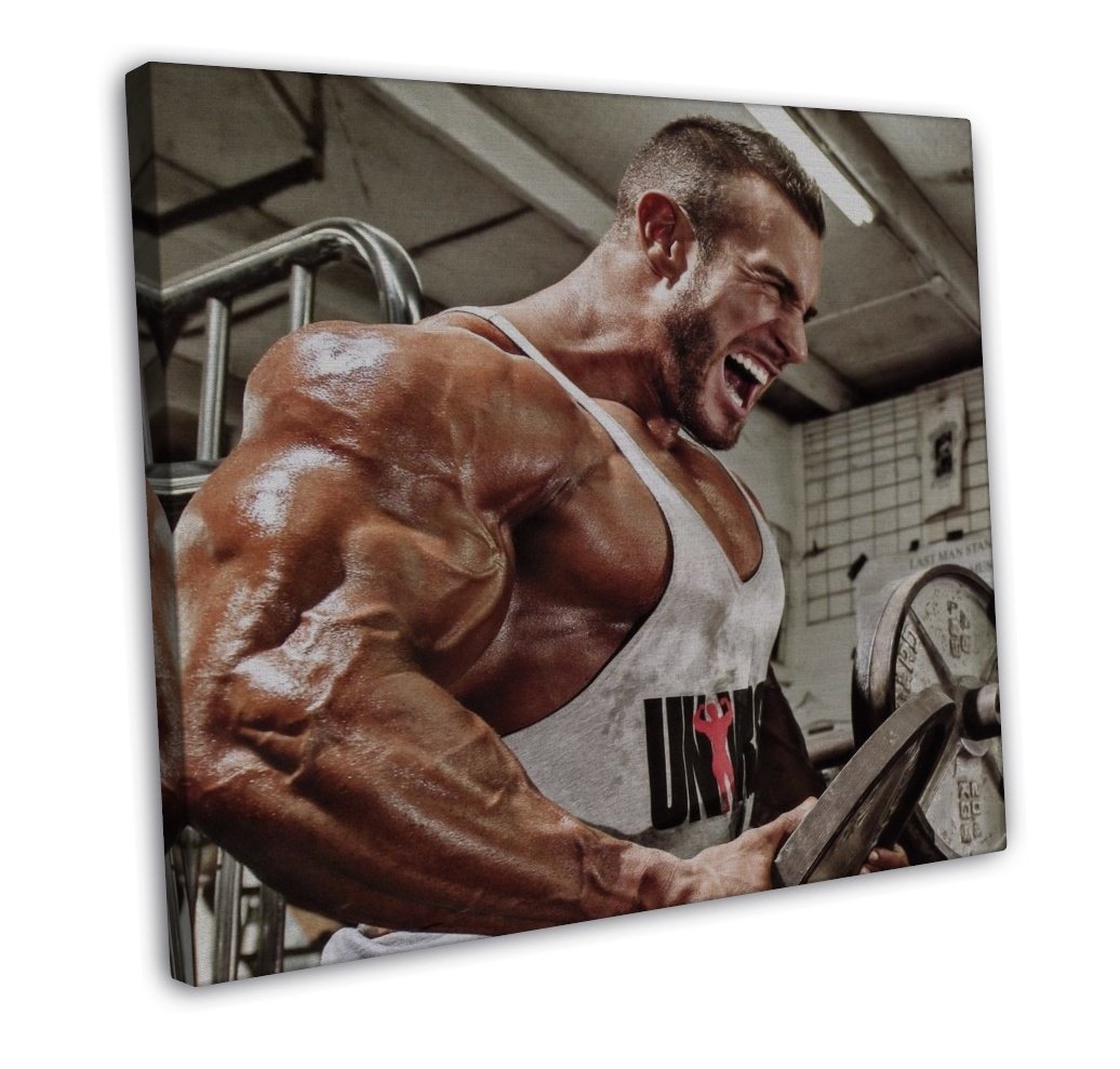 Bodybuilding Fitness Motivation Art 20x16 FRAMED CANVAS Print Decor