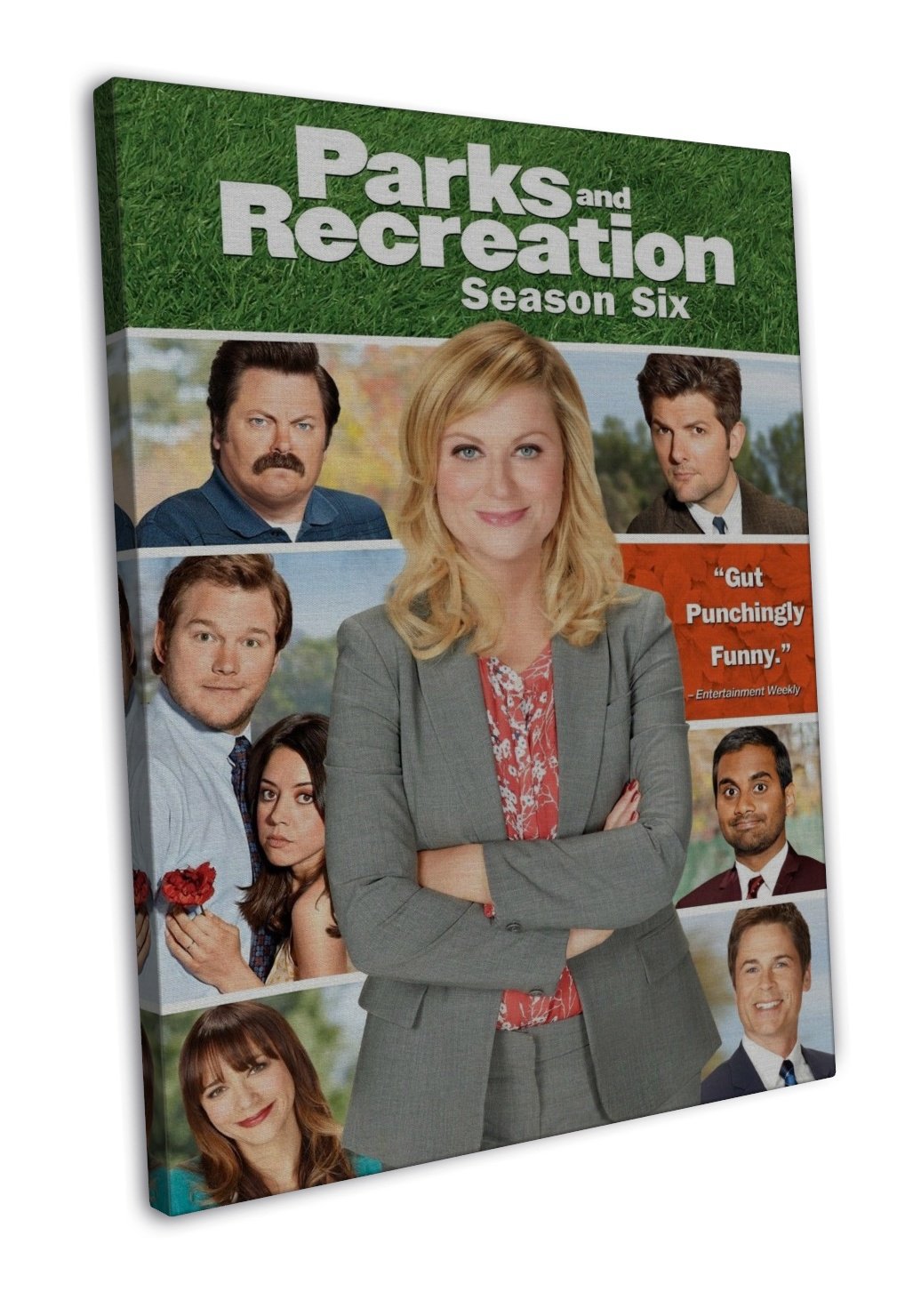 Parks And Recreation Tv Show Wall Decor 20x16 Framed Canvas Print