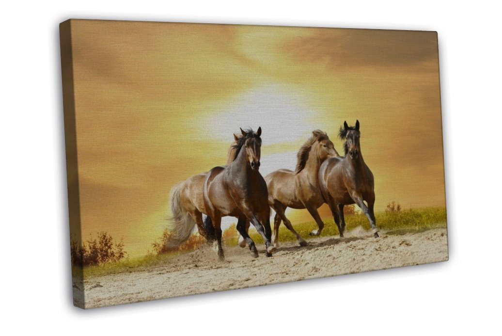 Running Horse Wall Decor 20x16 Framed Canvas Print