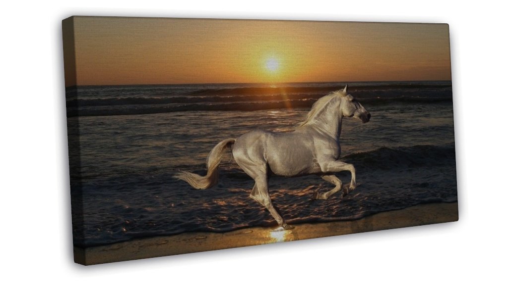 Running Horse Art 20x16 Framed Canvas Print Decor