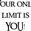 Your Only Limit is You 12 x 15 : Motivational and inspirational Vinyl Wall Art