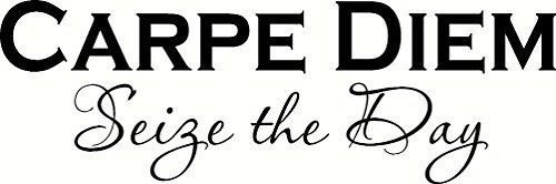 Carpe Diem Seize the Day. Our Inspirational Vinyl Wall Decals / Arts Are Made...