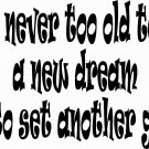 You Are Never Too Old 11 x 20 : Motivational and inspirational Vinyl Wall Art