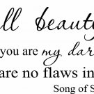 Song of Solomon 4:7 11"x 22" Bible Verse Wall Decal by Scripture Wall Art Love