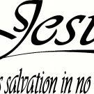 Acts 4:12 V4 11"x 22" Bible Verse Wall Decal by Scripture Wall Art