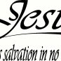Acts 4:12 V4 11"x 22" Bible Verse Wall Decal by Scripture Wall Art