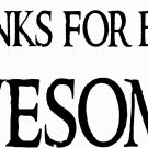 Thanks For Being Awesome! 11x22 Motivational Vinyl Wall Decal Wall Art
