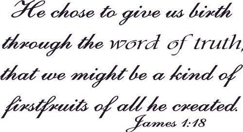 James 1:18, Vinyl Wall Art, Chose Give Birth Through Word of Truth Firstfruits