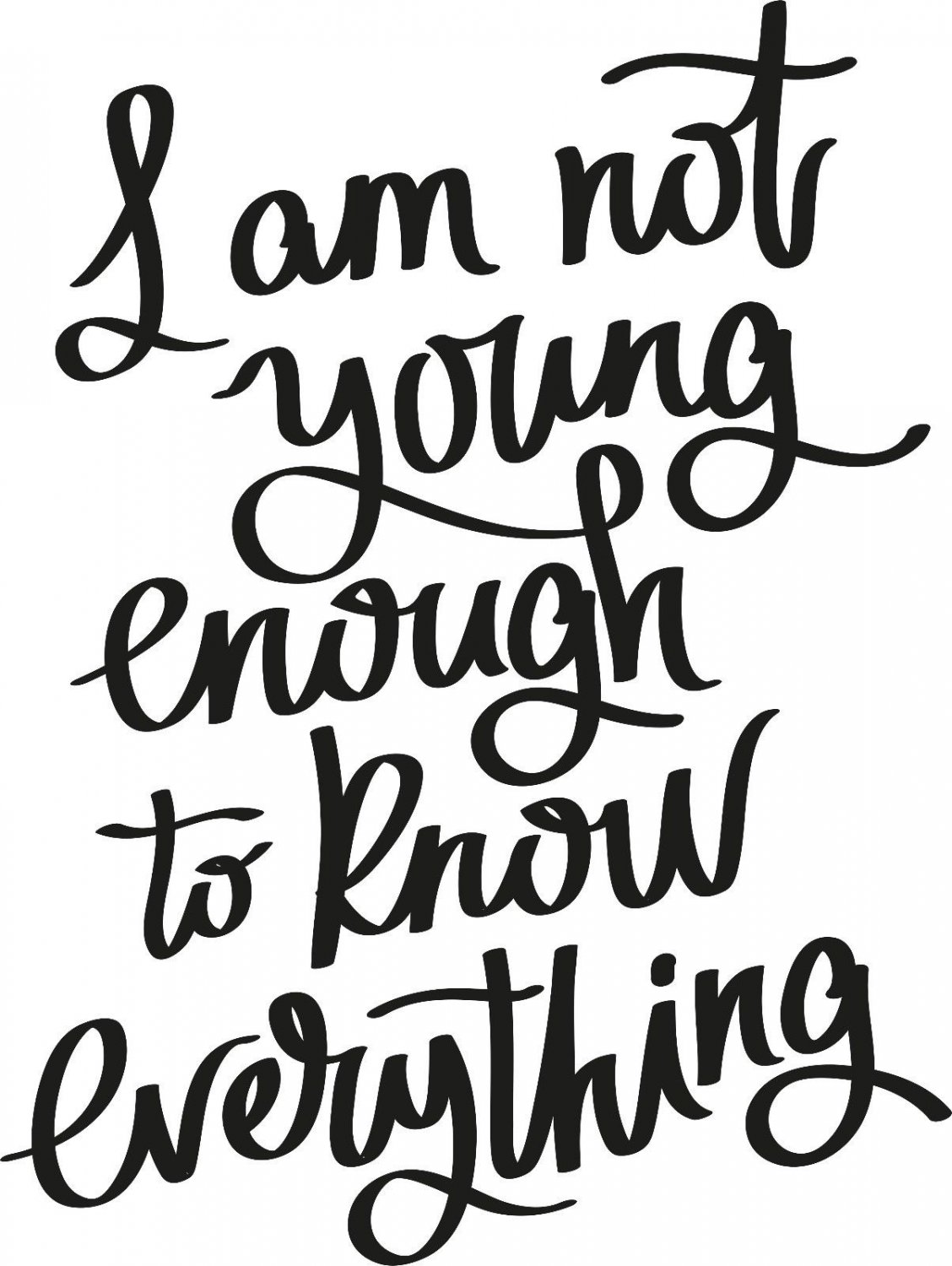 I Am Not Young Enough 11x15 : Motivational & inspirational Vinyl Wall Art
