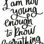 I Am Not Young Enough 11x15 : Motivational & inspirational Vinyl Wall Art