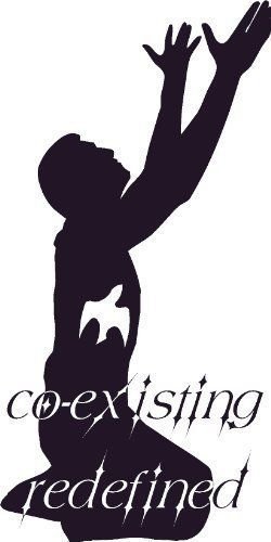 Coexisting Redefined Vinyl Wall Art, Jesus Holy Spirit Dove Filled Christian ...