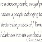 1 Peter 2:9-12 11"x 22" Bible Verse Wall Decal ~ Scripture Wall Art ~ Decor